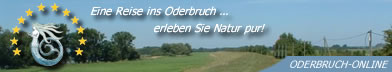 Externer Link zu www.oderbruch-online.de